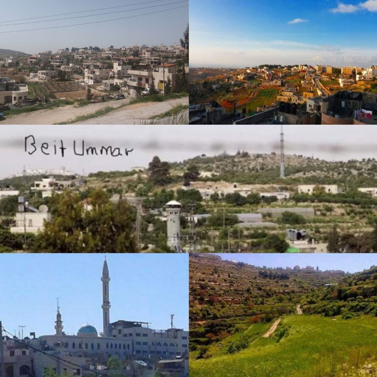 خبرنگار , صهیونیسم , کرانه باختری , کشور فلسطین , خبرگزاری تسنیم , فرح ابوعیاش , 