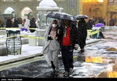 بارش برف در حرم مطهر رضوی