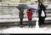 بارش برف در حرم مطهر رضوی