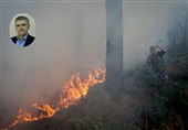 واکاوی علل انسانی و اقلیمی آتش‌سوزی‌های جنگل‌های هیرکانی/ طبیعت مقصر نیست!