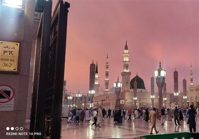 از کوچه بنی‌هاشم تا روضه رضوان؛ روایت یک سفر دانشجویی به مدینه