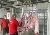 تامین کامل گوشت قرمز در بازار + قیمت