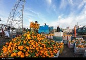 صادرات 34 میلیون دلاری تعاونی‌های گلستان