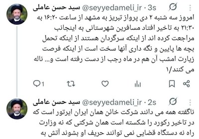 آیت‌الله عاملی: ایران‌ایرتور در تأخیرهای پروازی رکورد شکسته است