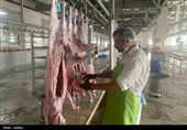 کشتار 685 راس دام در کردستان/ 13 تن گوشت غیرقابل مصرف معدوم شد