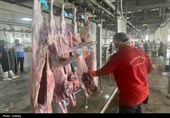 راه‌اندازی نخستین کشتارگاه صنعتی استان بوشهر به ظرفیت 320 راس دام+تصویر