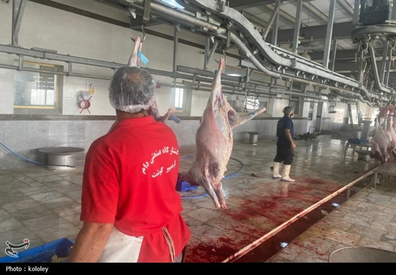 اخبار استان بوشهر , قیمت گوشت , اخبار بوشهر , 