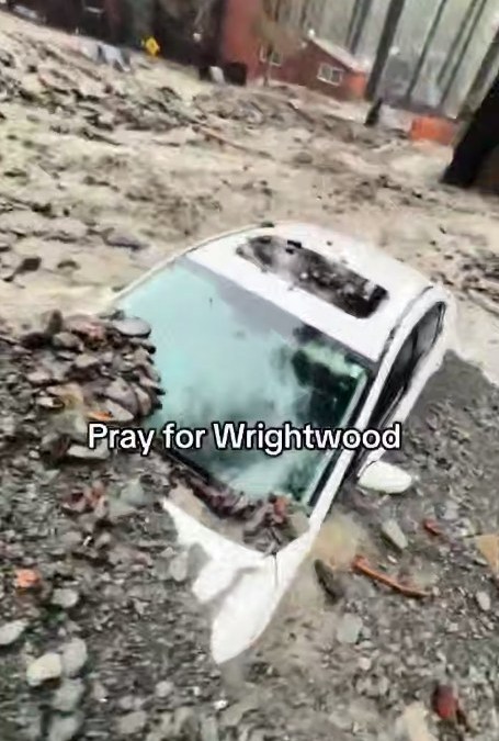 سیل , کشور آمریکا , 