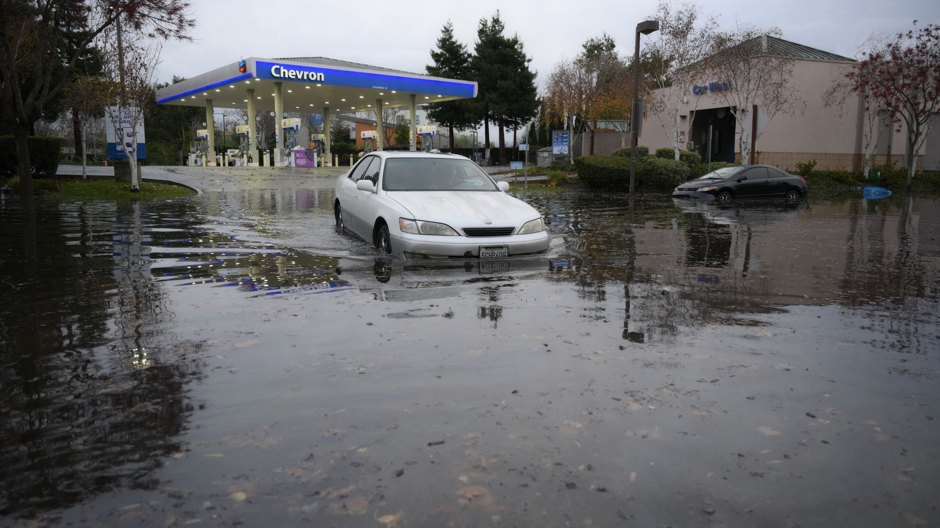 سیل , کشور آمریکا , 