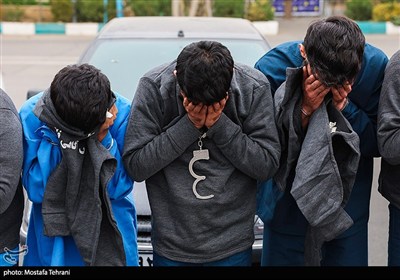 دستگیری سارقان 1600 بلوکه سیمانی و کشف 40 کیلو تریاک در خراسان جنوبی