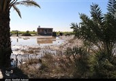 گزارش فرماندار فاریاب از میزان خسارت سیل و اقدامات انجام‌ شده برای جبران آسیب‌ها