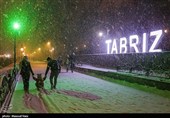 Snow Blankets Tabriz