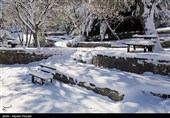 بارش برف در کرستان