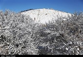 بارش برف در کرستان