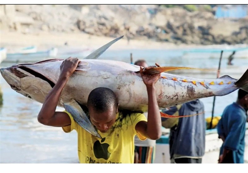 کشور سومالی , 