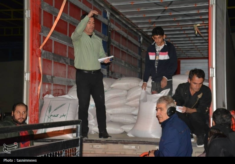 بازگشت لبخند به مزارع کهگیلویه؛ بذر گندم به دست کشاورزان رسید