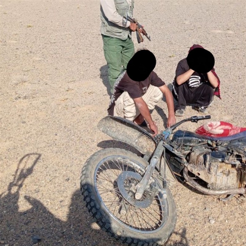 کشف 15 تله زنده‌گیری و تشکیل پرونده قضایی برای صیادان هوبره در خواف