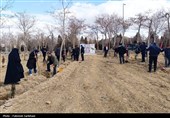 12300 اصله درخت در استان سمنان به یاد رهبر شهید کاشته شد
