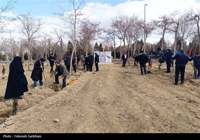 12300 اصله درخت در استان سمنان به یاد رهبر شهید کاشته شد