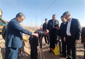 برگزاری آیین نهال‌کاری یادبود شهدای مقاومت در شهرستان مهریز