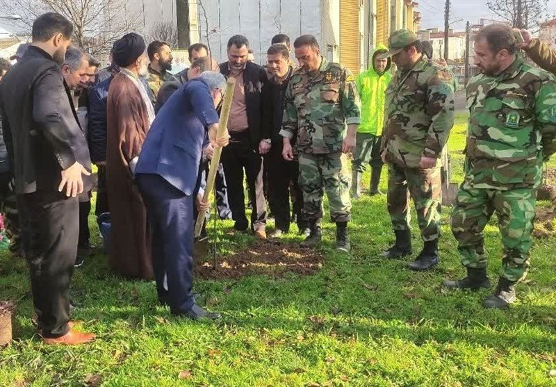 اخبار رشت , اخبار استان گیلان , جنگل , جنگل های هیرکانی , سازمان منابع طبیعی , 