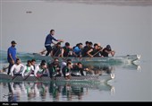 رقابت‌های دراگون‌بوت در پیست تخصصی هیئت قایقرانی بندر بوشهر+عکس