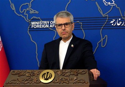 بقائی: تجاوز به حاکمیت ملی کشورها قانون جنگل را حاکم می‌کند