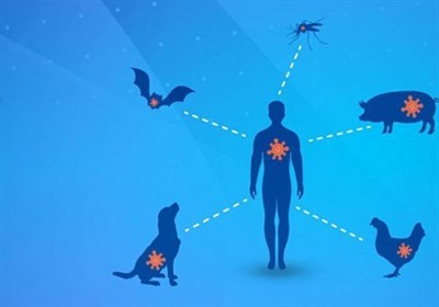 افزایش بیماری‌های مشترک انسان و حیوان به دنبال تغییر اقلیم