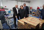بازدید استاندار قزوین از واحدهای تولیدی در «چهارشنبه‌های صنعت»