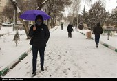 بارش برف در اردبیل
