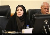 نشست هم‌اندیشى احزاب سیاسى استان کرمان با استاندار