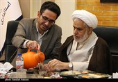 نشست هم‌اندیشى احزاب سیاسى استان کرمان با استاندار