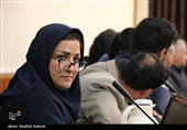 نشست هم‌اندیشى احزاب سیاسى استان کرمان با استاندار