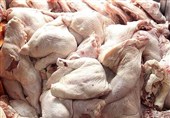 عرضه مرغ در استان سمنان با نرخ مصوب 187500 تومان