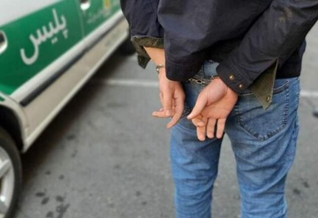 دستگیری 192نفر از عوامل اصلی اغتشاشات خراسان رضوی