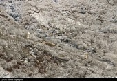 بارش برف در منطقه اشکور رحیم آباد گیلان