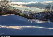 بارش برف در منطقه گریت شهرستان خرم آباد