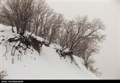 بارش برف در منطقه گریت شهرستان خرم آباد