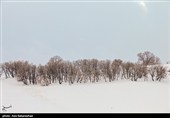 بارش برف در منطقه گریت شهرستان خرم آباد