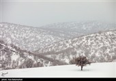 بارش برف در منطقه گریت شهرستان خرم آباد