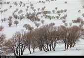 بارش برف در منطقه گریت شهرستان خرم آباد