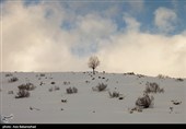 بارش برف در منطقه گریت شهرستان خرم آباد