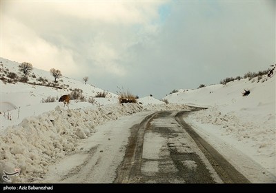 بارش برف و باران در اغلب جاده‌ها