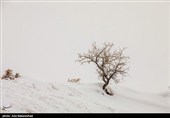 Снегопад в Иране — город Хоррамабад