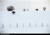 Снегопад в Иране — город Хоррамабад