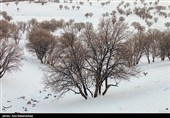 Снегопад в Иране — город Хоррамабад