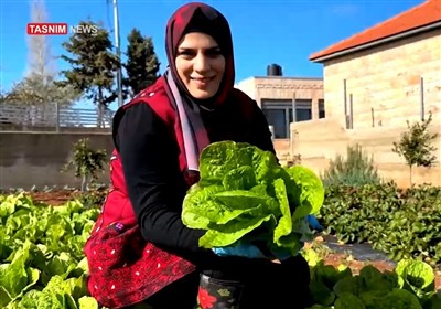 حنين ملبس؛ من "حبة فراولة واحدة" إلى مشروع زراعي فلسطيني يعكس الصمود في وجه الاحتلال