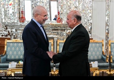 دیدار وزیر امور خارجه عراق با رئیس مجلس