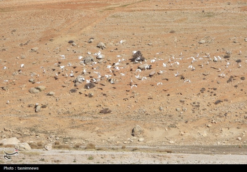 پایش و نظارت در محیط زیست , اخبار استان کهگیلویه و بویراحمد , 