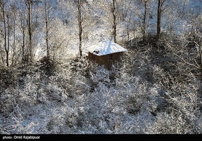 Снегопад в Иране — провинция Гилян
